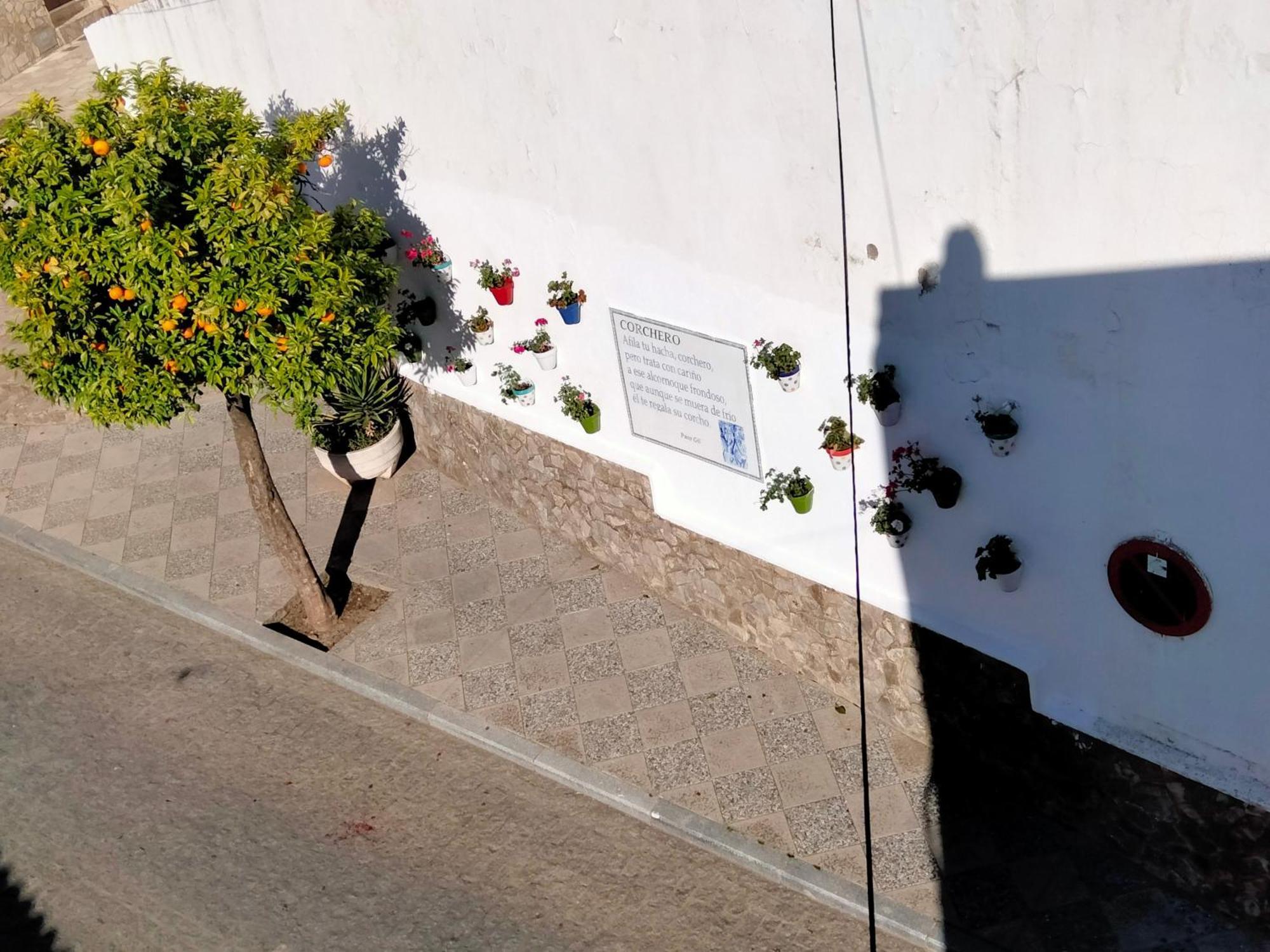 Casa Vista Villa Alcala de los Gazules Bagian luar foto